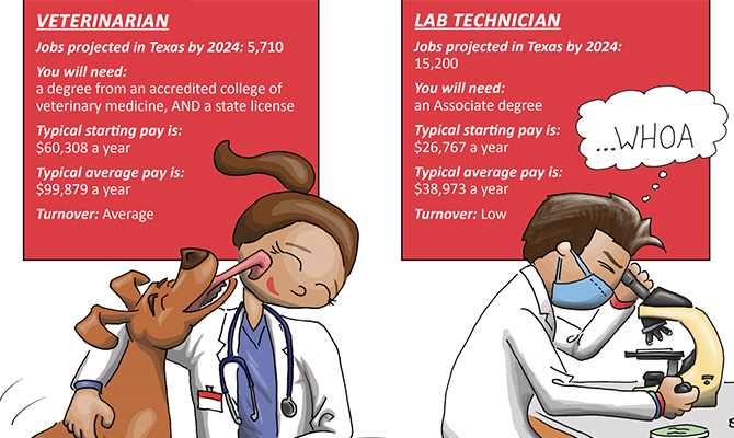 Screenshot: Cartoons of veterinarian and lab technician with job statistics